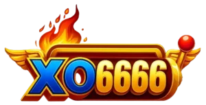 xo6666